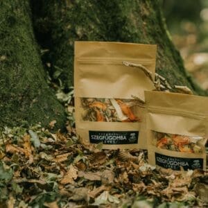 Szegfűgomba leves
